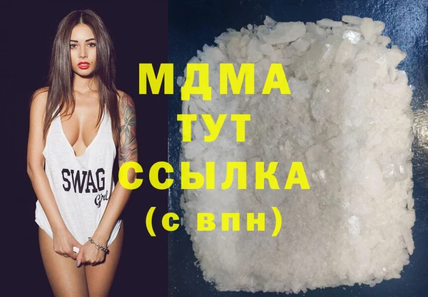 spice Богородицк